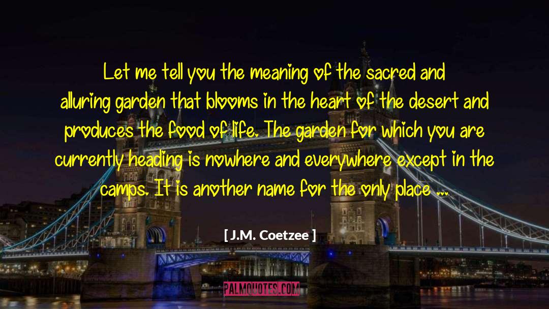 J.M. Coetzee Quotes: Let me tell you the
