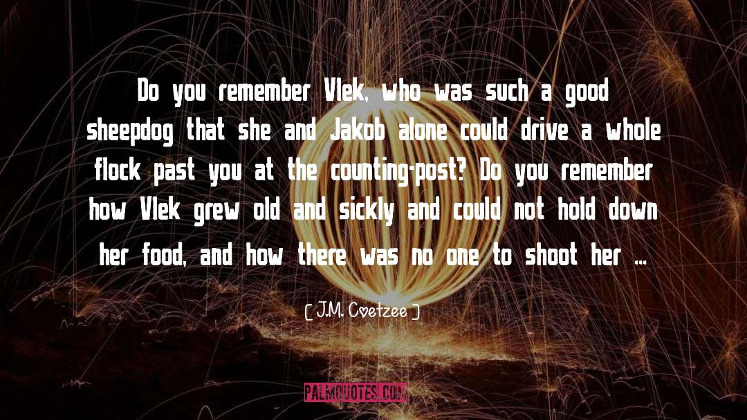 J.M. Coetzee Quotes: Do you remember Vlek, who