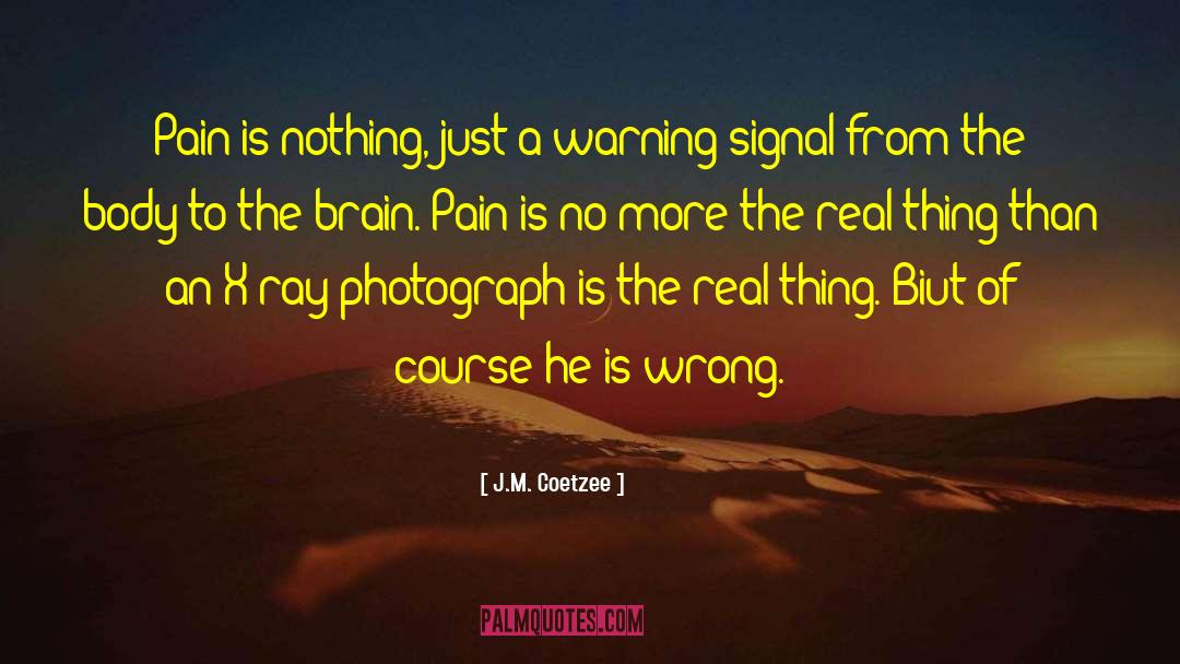 J.M. Coetzee Quotes: Pain is nothing, just a