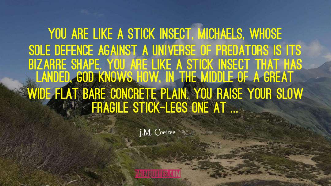 J.M. Coetzee Quotes: You are like a stick