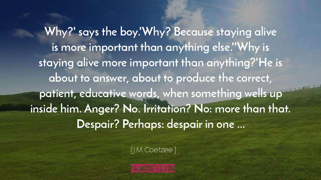 J.M. Coetzee Quotes: Why?' says the boy.<br />'Why?