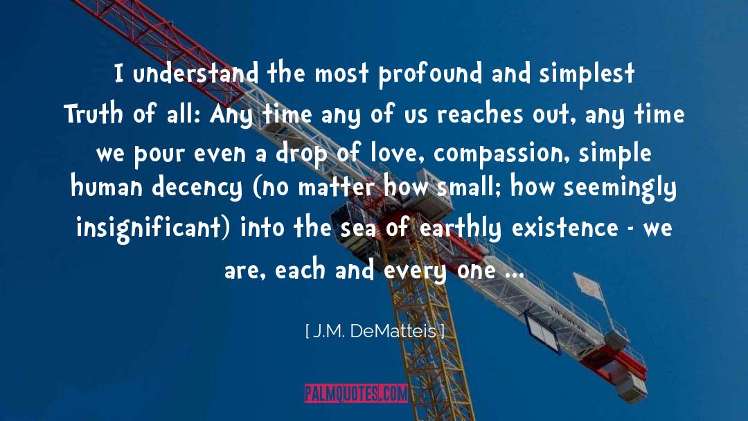 J.M. DeMatteis Quotes: I understand the most profound