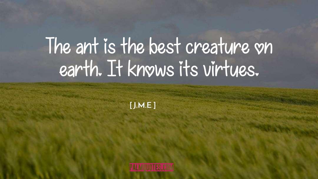J.M.E Quotes: The ant is the best