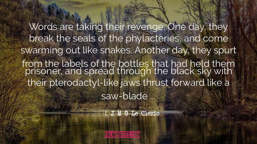 J M G Le Clezio Quotes: Words are taking their revenge.