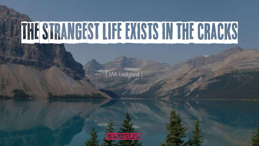 J.M. Ledgard Quotes: the strangest life exists in