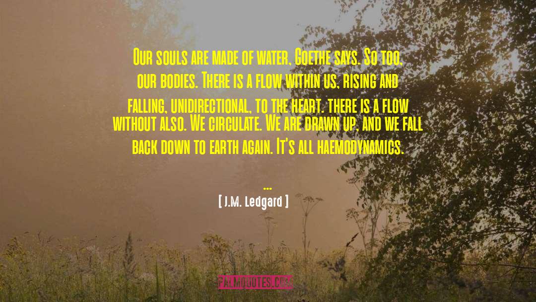 J.M. Ledgard Quotes: Our souls are made of