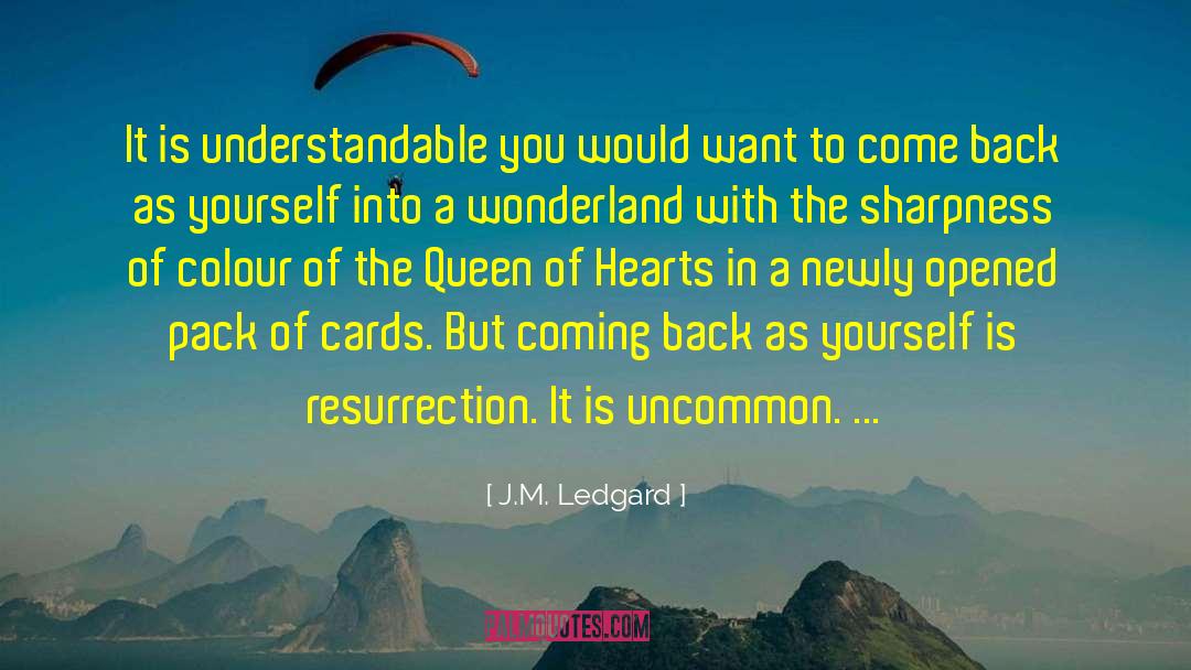 J.M. Ledgard Quotes: It is understandable you would
