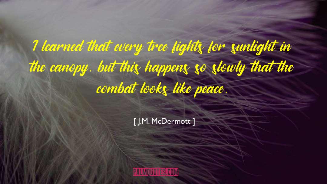 J.M. McDermott Quotes: I learned that every tree