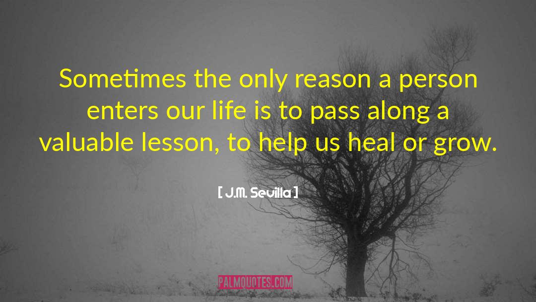 J.M. Sevilla Quotes: Sometimes the only reason a