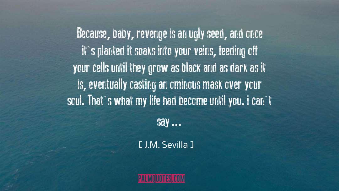 J.M. Sevilla Quotes: Because, baby, revenge is an