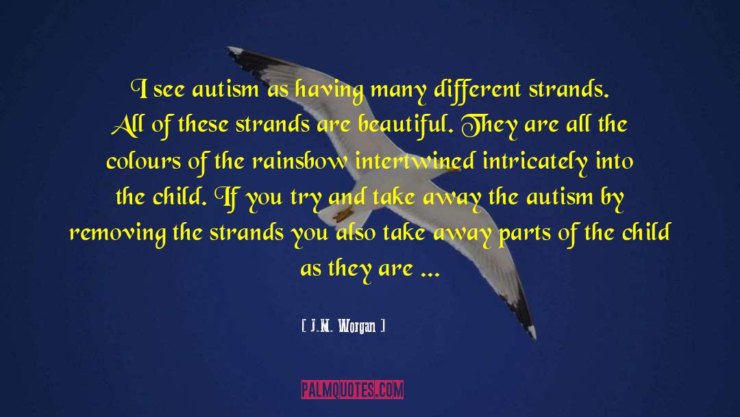J.M. Worgan Quotes: I see autism as having