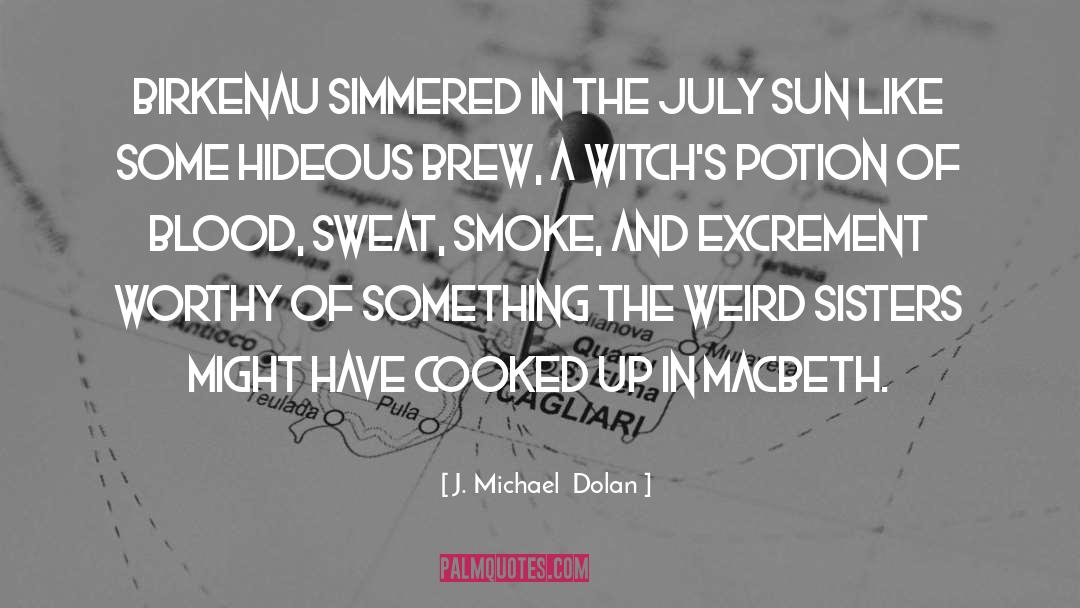 J. Michael  Dolan Quotes: Birkenau simmered in the July