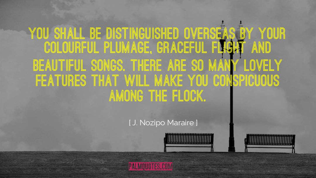 J. Nozipo Maraire Quotes: You shall be distinguished overseas