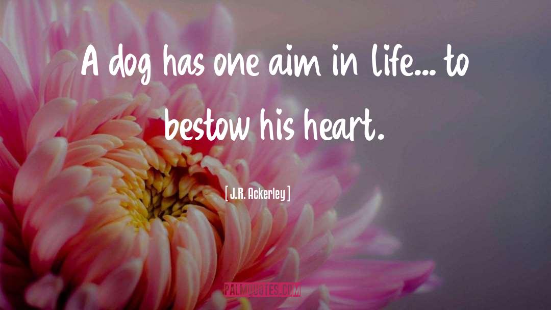 J.R. Ackerley Quotes: A dog has one aim