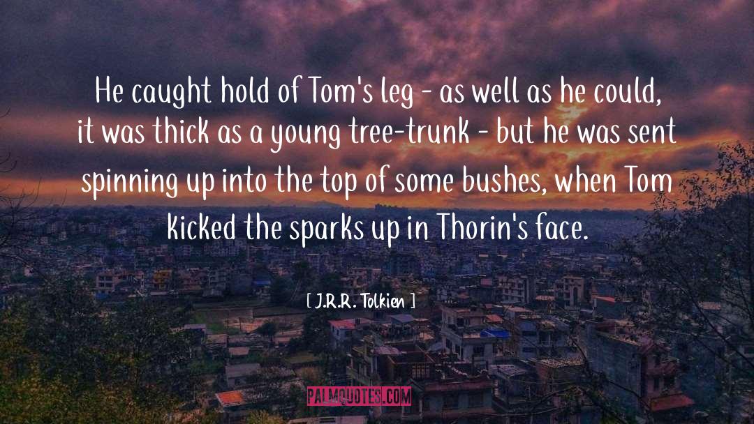 J.R.R. Tolkien Quotes: He caught hold of Tom's