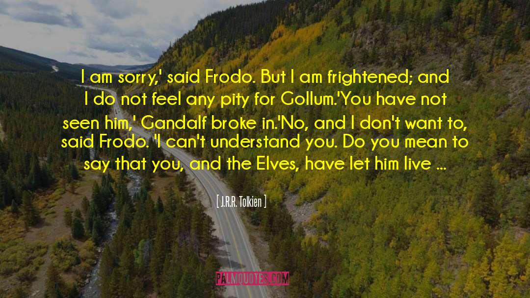 J.R.R. Tolkien Quotes: I am sorry,' said Frodo.
