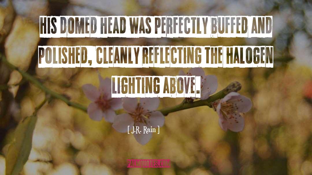 J.R. Rain Quotes: His domed head was perfectly