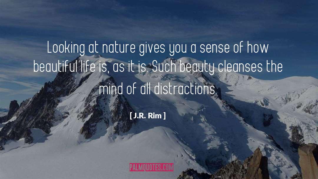 J.R. Rim Quotes: Looking at nature gives you