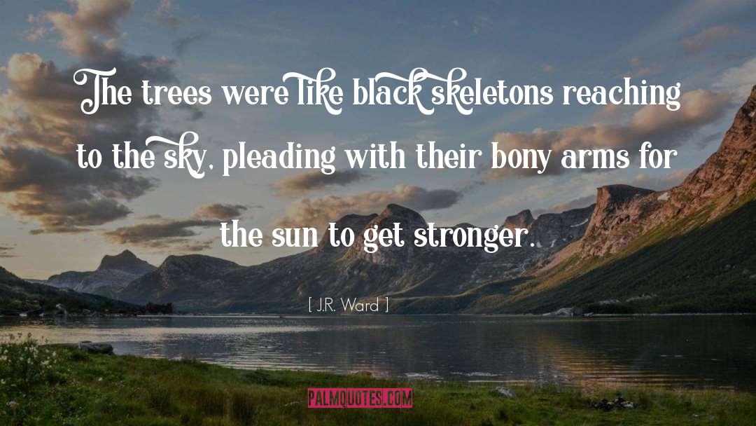 J.R. Ward Quotes: The trees were like black