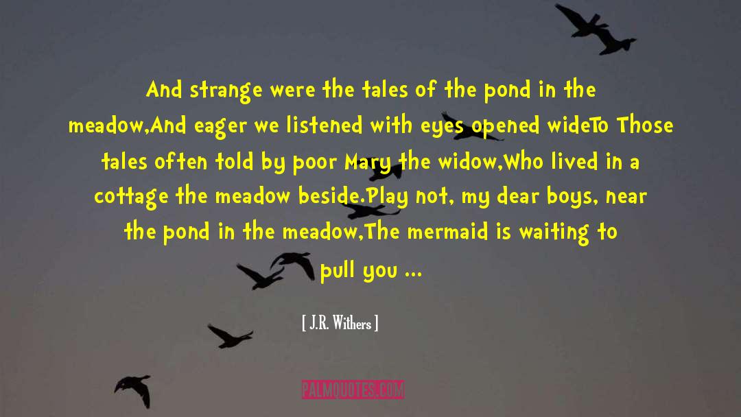 J.R. Withers Quotes: And strange were the tales