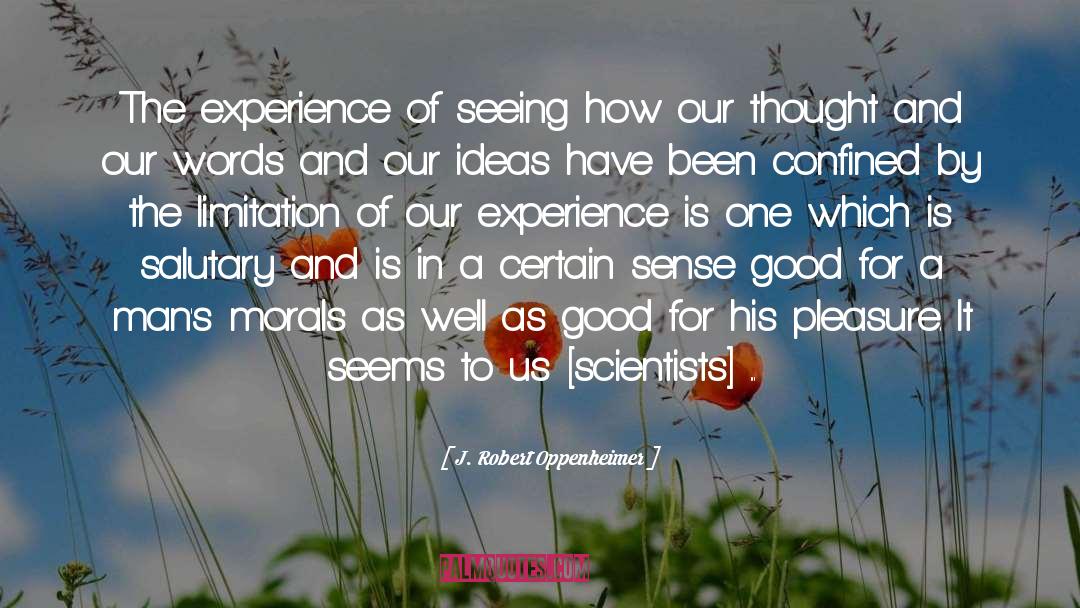 J. Robert Oppenheimer Quotes: The experience of seeing how