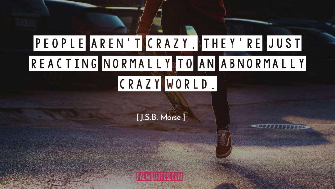 J.S.B. Morse Quotes: People aren't crazy, they're just