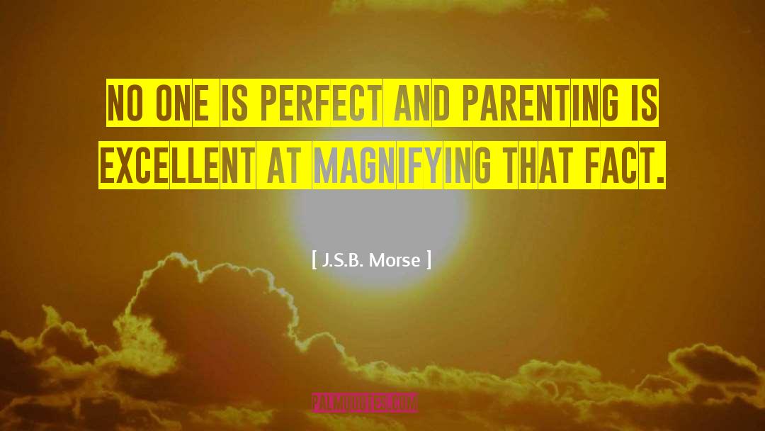 J.S.B. Morse Quotes: No one is perfect and