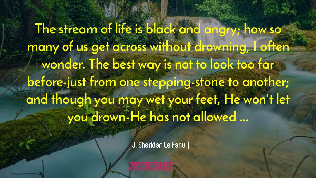 J. Sheridan Le Fanu Quotes: The stream of life is