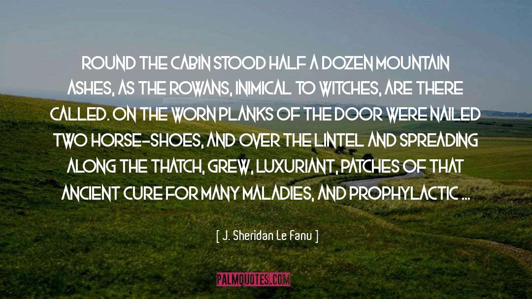 J. Sheridan Le Fanu Quotes: Round the cabin stood half
