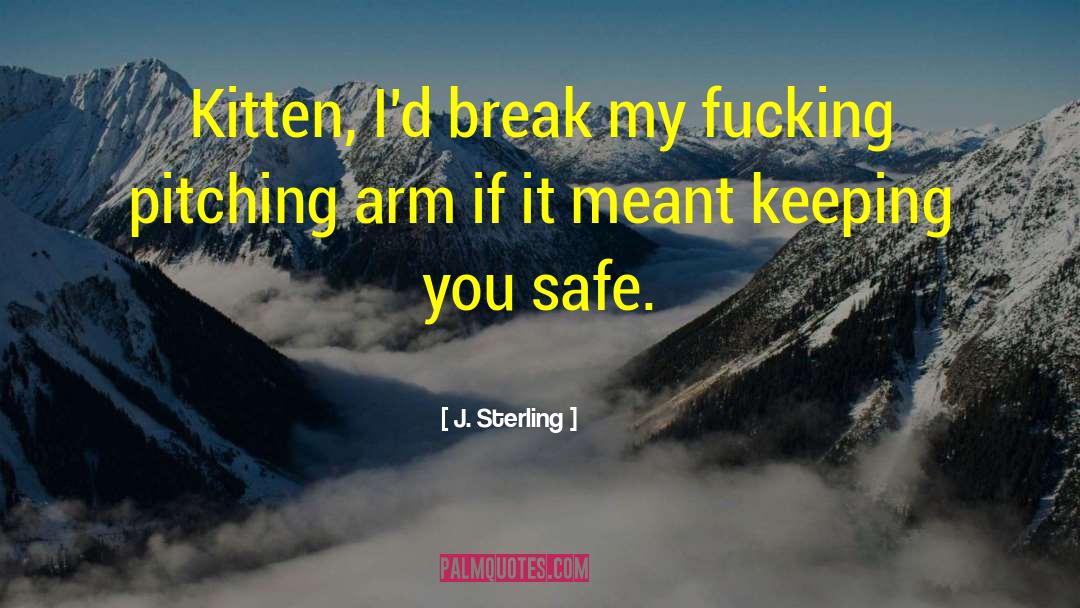 J. Sterling Quotes: Kitten, I'd break my fucking