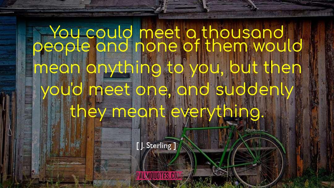 J. Sterling Quotes: You could meet a thousand