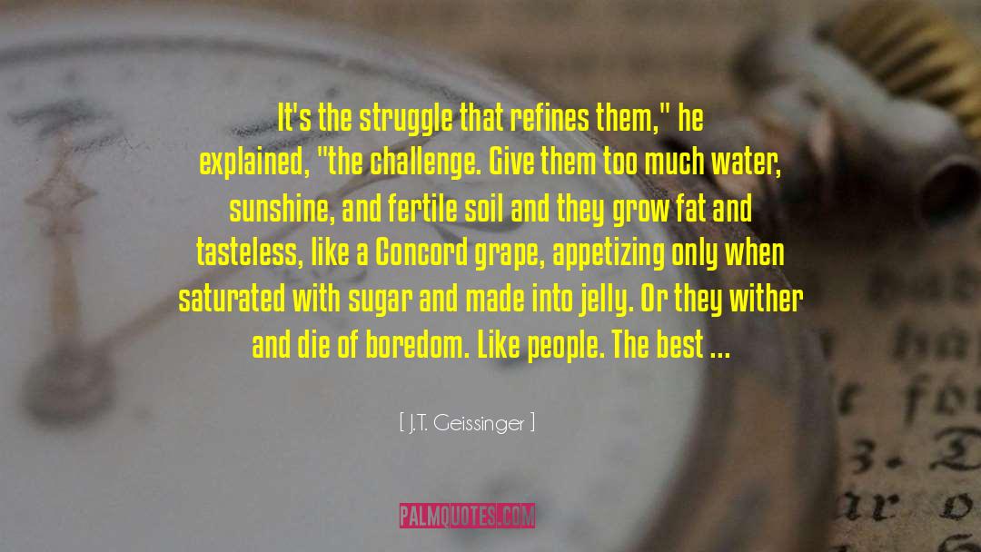 J.T. Geissinger Quotes: It's the struggle that refines