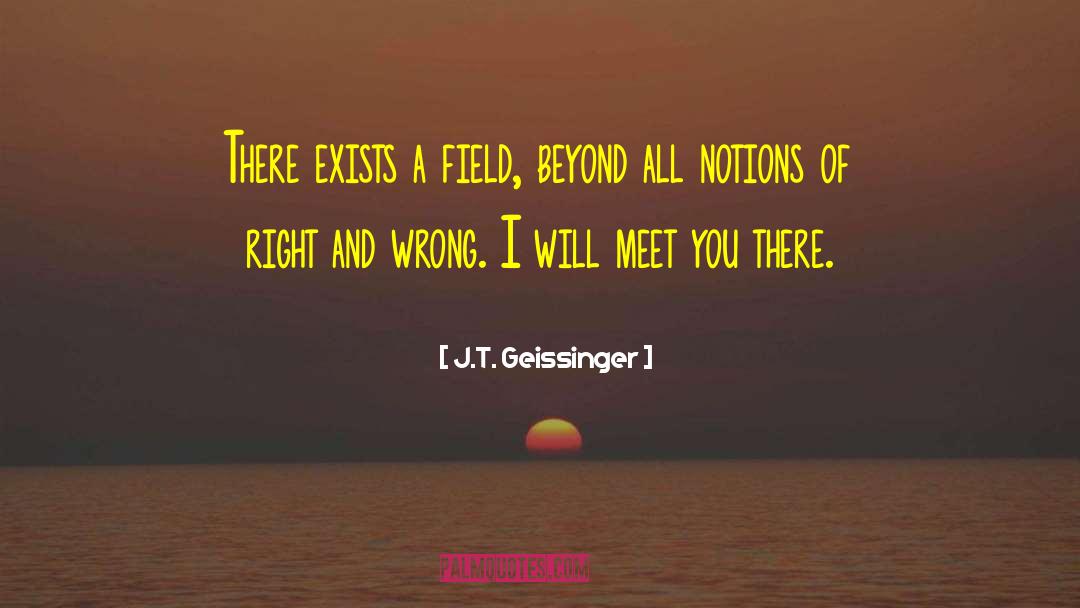 J.T. Geissinger Quotes: There exists a field, beyond