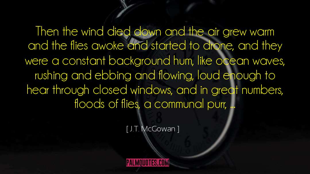 J.T. McGowan Quotes: Then the wind died down