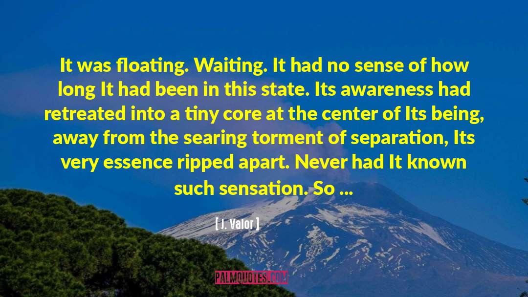 J. Valor Quotes: It was floating. Waiting.<br> It