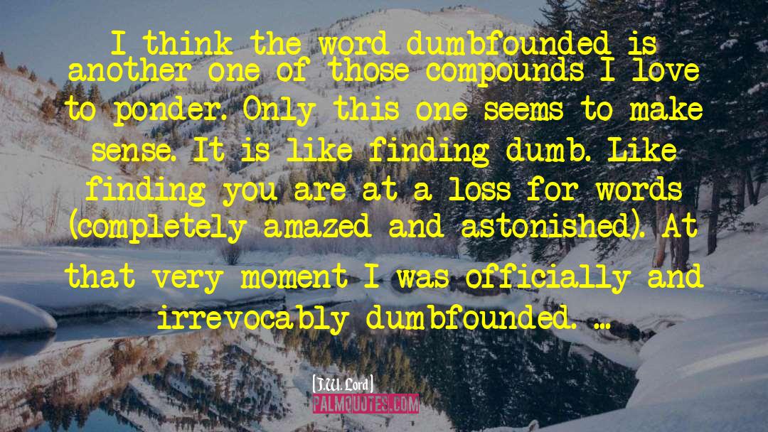 J.W. Lord Quotes: I think the word dumbfounded