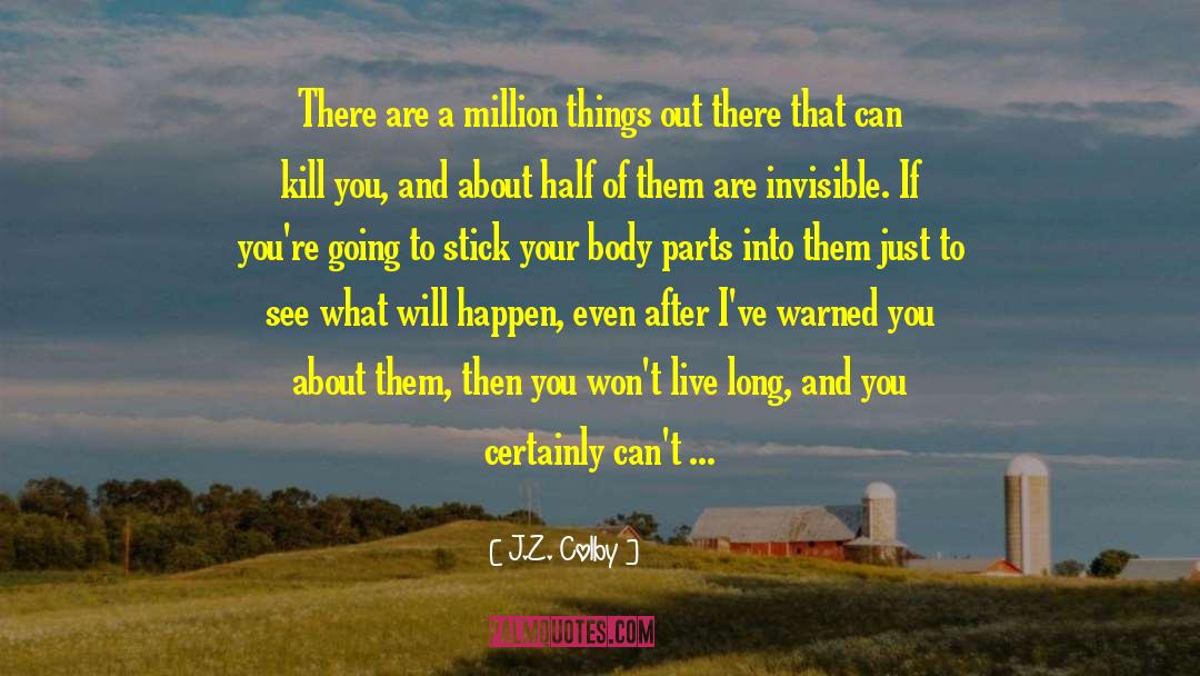 J.Z. Colby Quotes: There are a million things