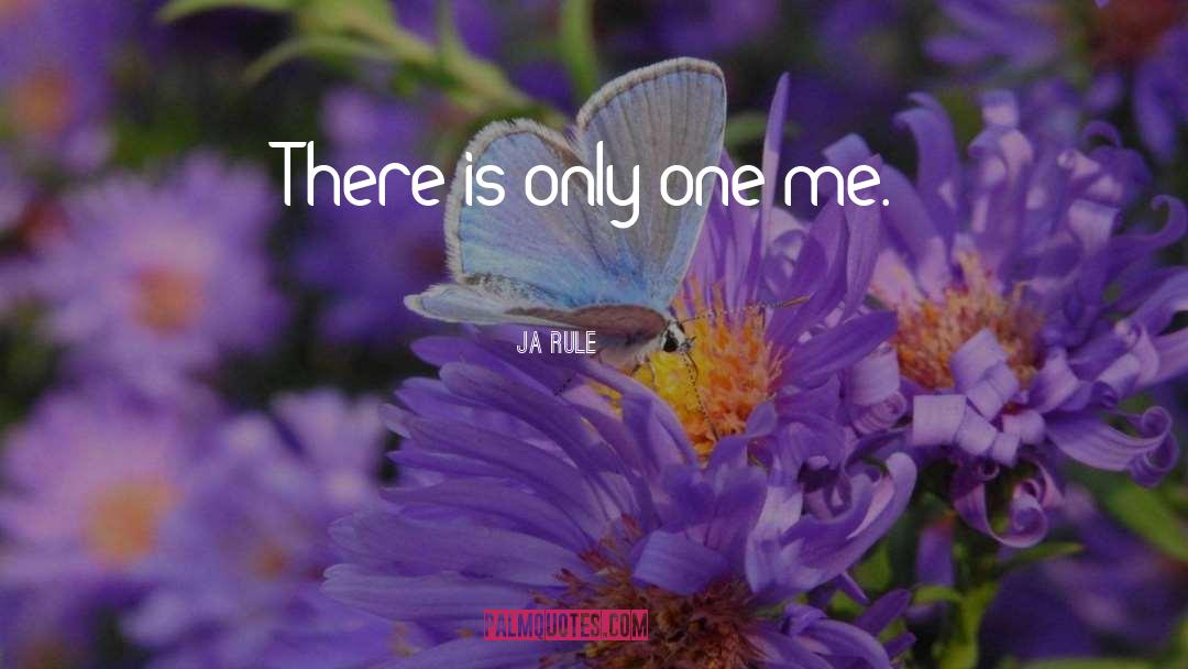 Ja Rule Quotes: There is only one me.