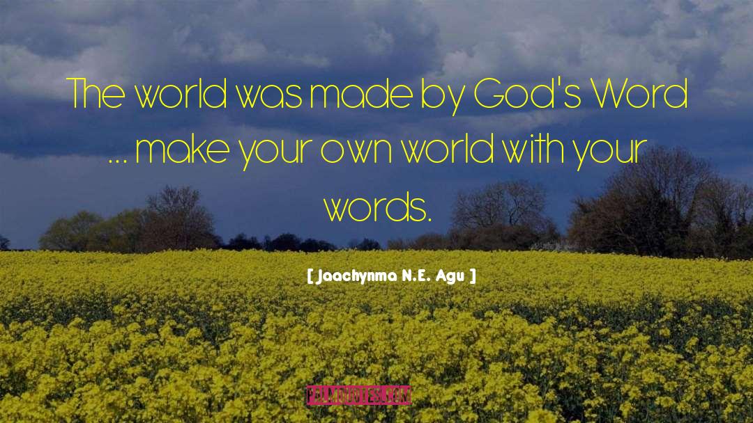 Jaachynma N.E. Agu Quotes: The world was made by