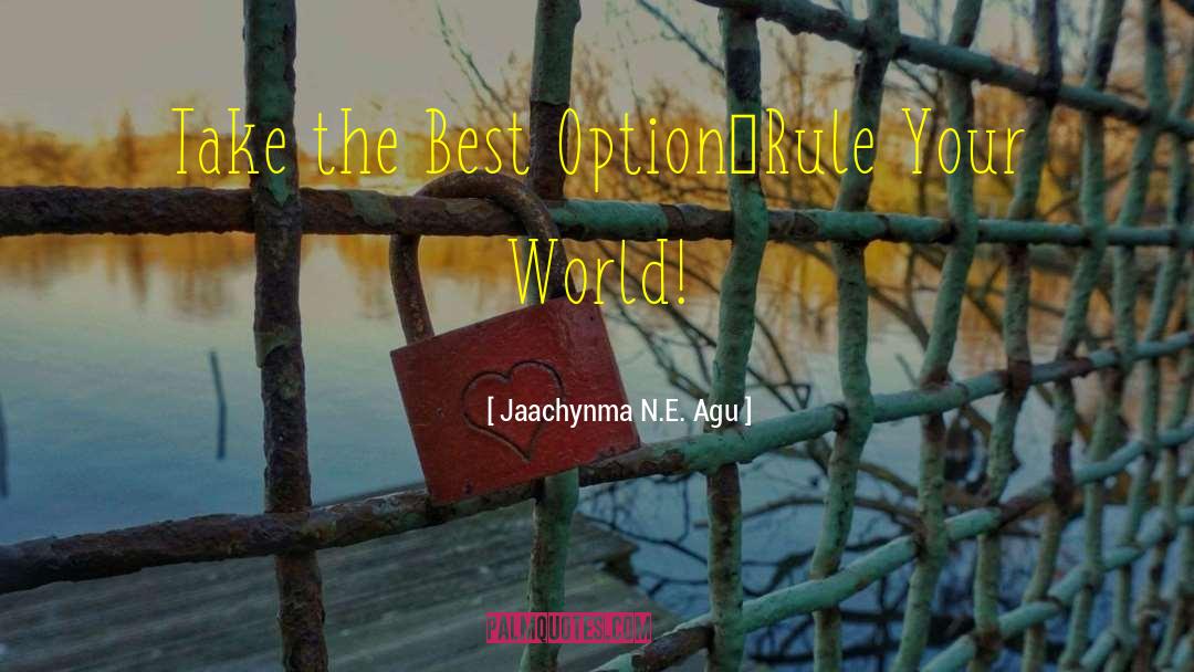 Jaachynma N.E. Agu Quotes: Take the Best Option…Rule Your