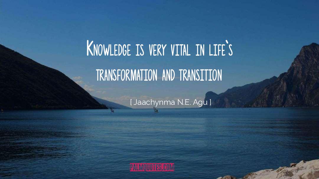 Jaachynma N.E. Agu Quotes: Knowledge is very vital in