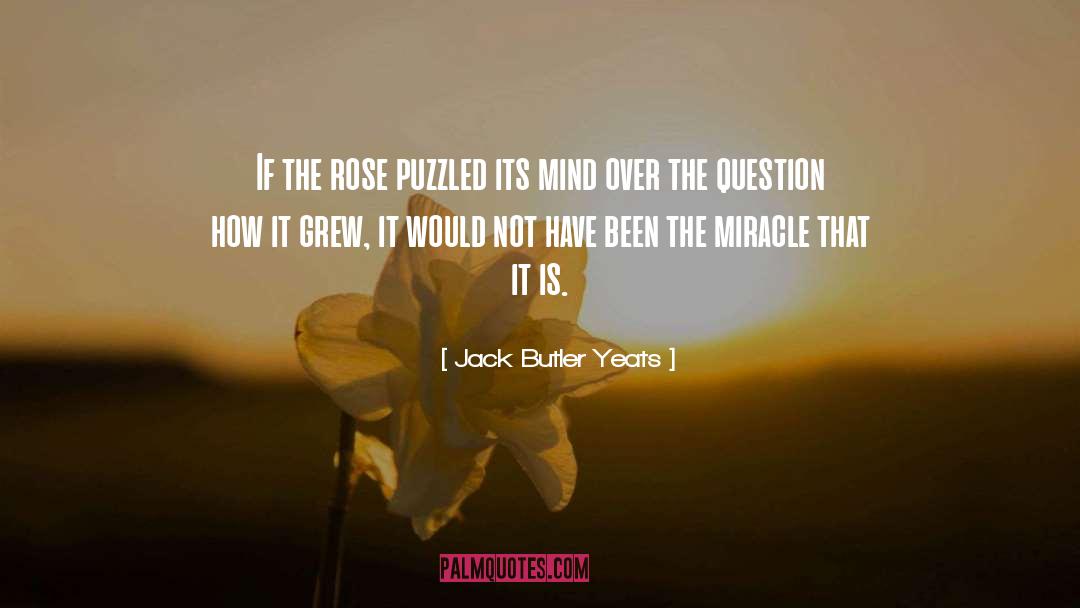 Jack Butler Yeats Quotes: If the rose puzzled its