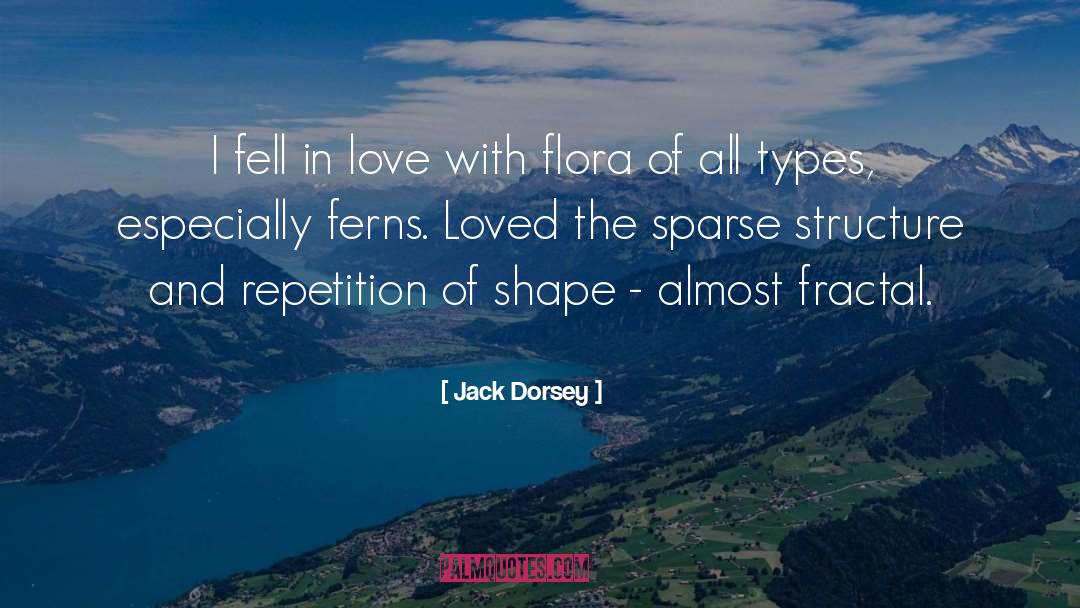 Jack Dorsey Quotes: I fell in love with