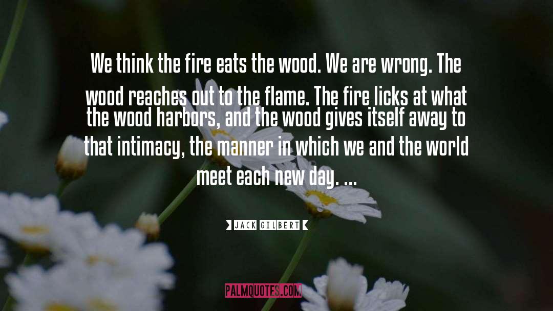 Jack Gilbert Quotes: We think the fire eats