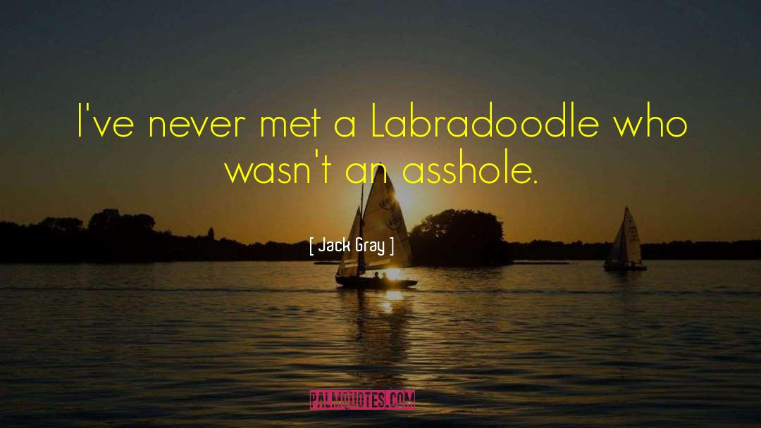 Jack Gray Quotes: I've never met a Labradoodle