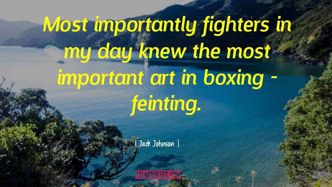Jack Johnson Quotes: Most importantly fighters in my