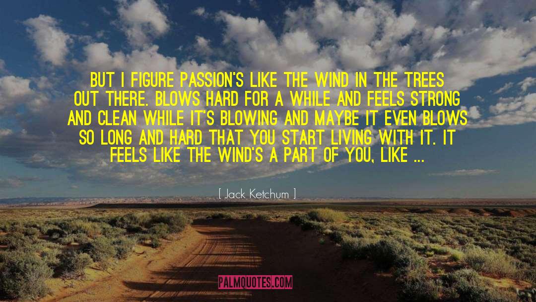 Jack Ketchum Quotes: But I figure passion's like