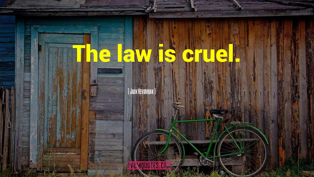 Jack Kevorkian Quotes: The law is cruel.