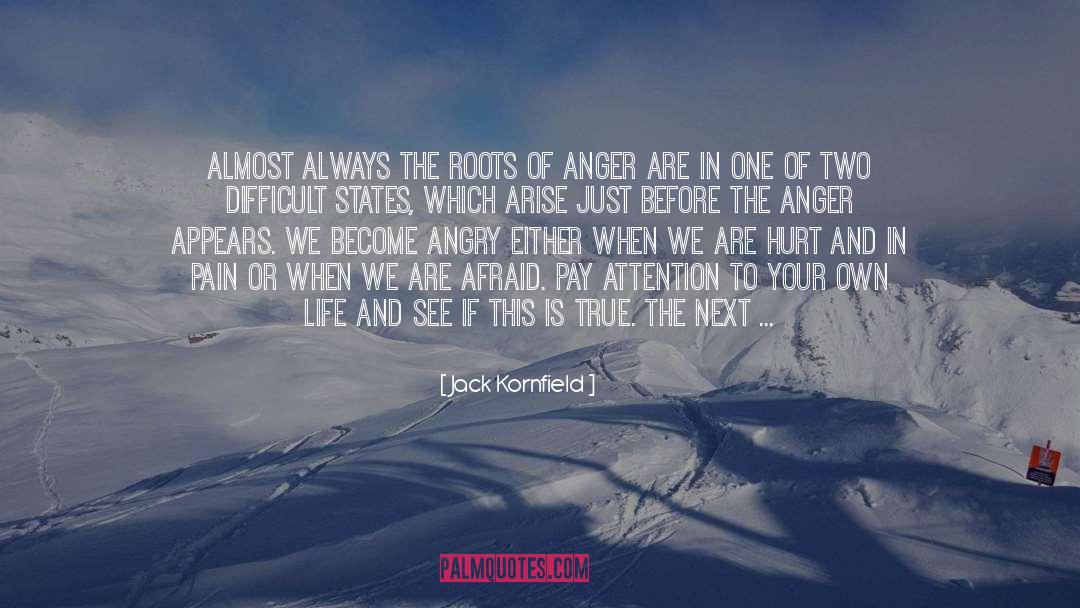 Jack Kornfield Quotes: Almost always the roots of