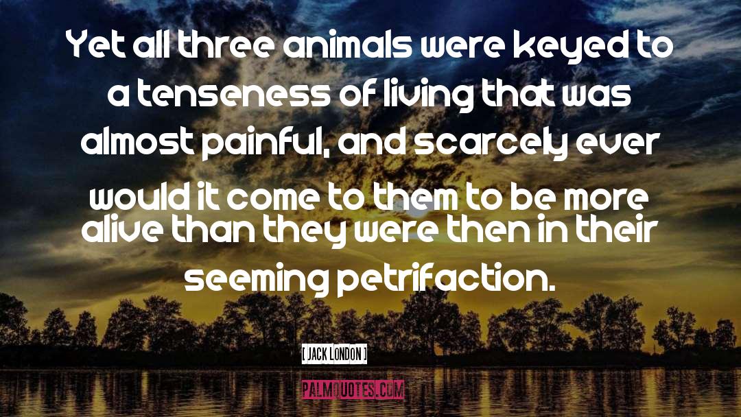 Jack London Quotes: Yet all three animals were